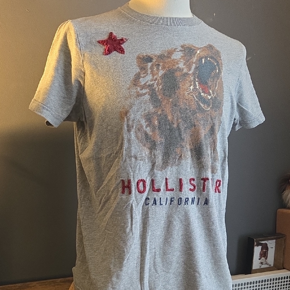Vintage Men's Hollister T-Shirt Size L